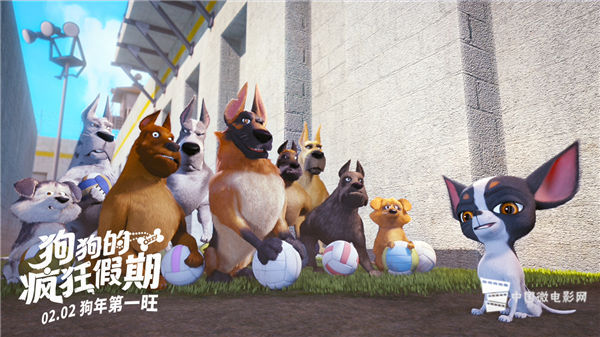 小甜心与它的队员